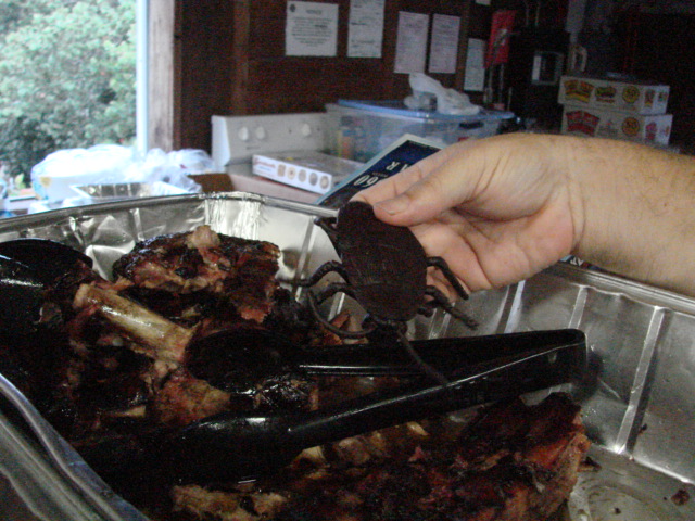 Look what I found.JPG